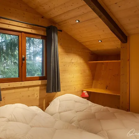 Superbe 6 Ch Au Pied Du Domaine Des 2 Alpes לס דה-אלפס
